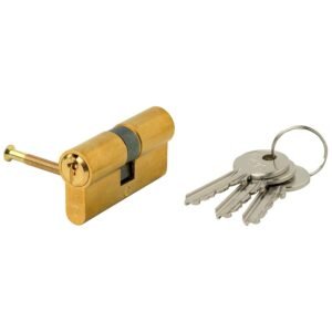 Cilindro Iseo F5 Europeo 30x30 Latonado Leva Larga